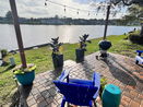 miamire/67da7a7ee287cb5d13d5e70f5e16f0d3.jpg?width=131&height=105&format3=webp