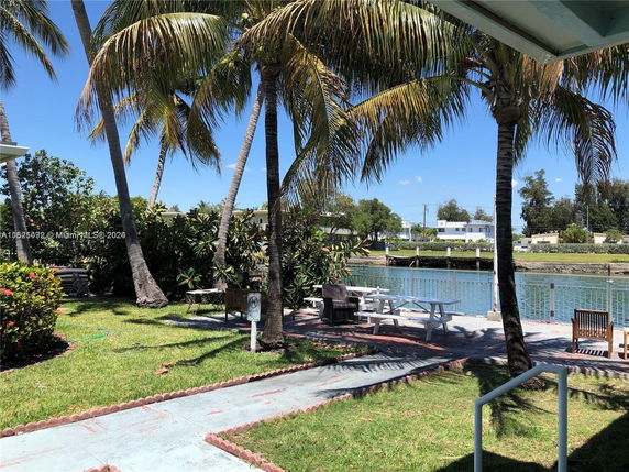View of a grassy area with palm trees and a waterfront.