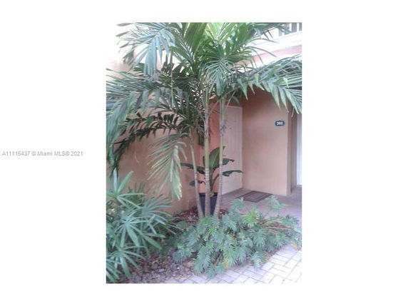 Entrance view of a house with beige walls and surrounding plants.
