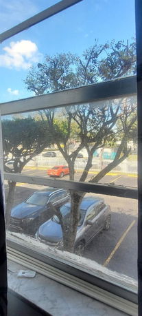 View of parked cars and trees seen through a window.