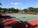 miamire/6931fdc090cfa7d53b32a01b05004ffb.jpg?width=131&height=105&format3=webp