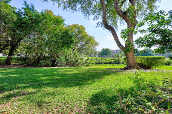 View of grassy area with trees and a distant building.