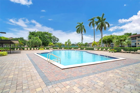 Outdoor swimming pool area with palm trees and lounge chairs.