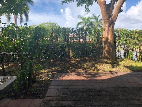 View of garden area with trees and hedges.