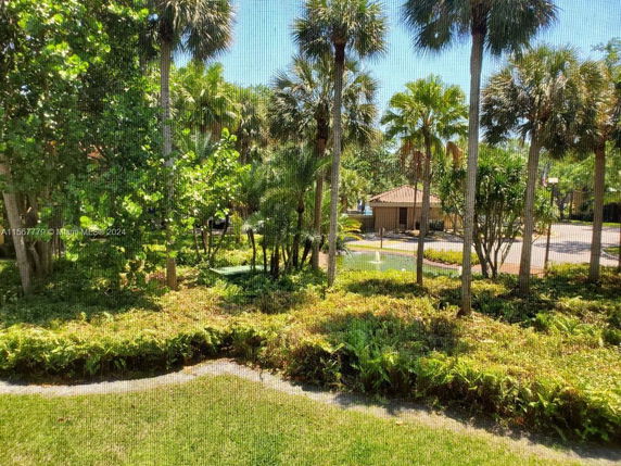 View of a lush garden area with palm trees and shrubs.