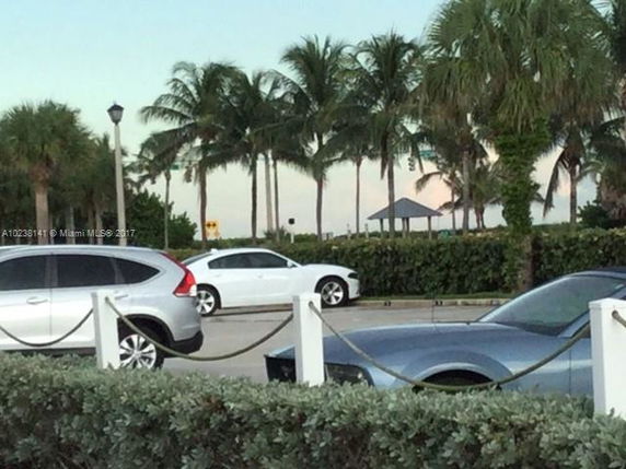 View of a parking area with several cars and palm trees nearby.