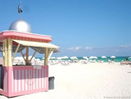 miamire/6b406fd7d920fb9a64e55d1d63ebce9d.jpg?width=131&height=105&format3=webp