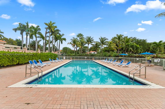 Outdoor swimming pool area with palm trees and sun loungers.