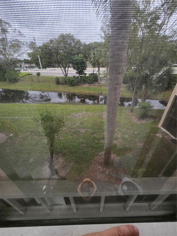 View through a window screen showing trees and a small body of water outside