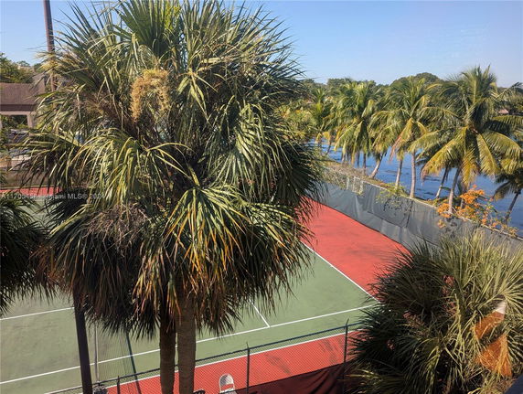 Tennis court surrounded by palm trees.