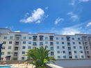 miamire/6e2a74766cd0852b6cf6cf36e5f809a5.jpg?width=131&height=105&format3=webp