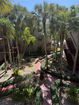 miamire/6e3d78cc1e3e092dde7694fdcb38ae04.jpg?width=131&height=105&format3=webp
