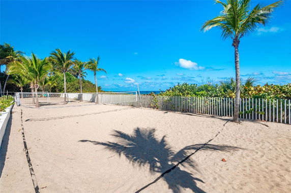 Sandy volleyball court with palm trees and ocean view.