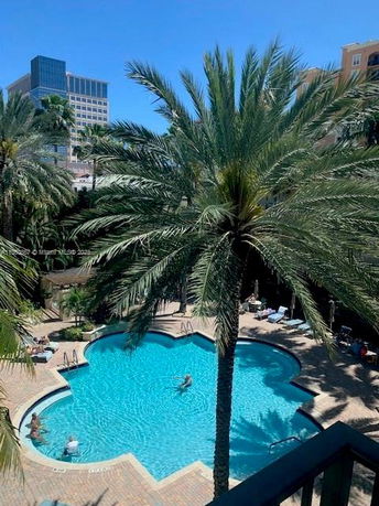 Outdoor swimming pool with surrounding palm trees and buildings in the background.