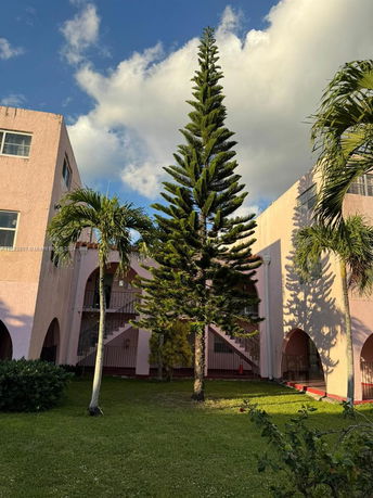 View of a building exterior with arched openings and a tall conifer tree in the foreground.
