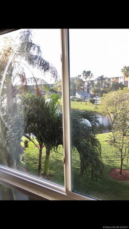 View of palm trees and a landscaped area from a window, with residential buildings in the distance.