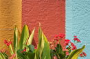 miamire/714501aff3fef9a5ea7befc07473c780.jpg?width=131&height=105&format3=webp