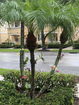 miamire/7198d343ced6199801c8419af57ec42d.jpg?width=131&height=105&format3=webp