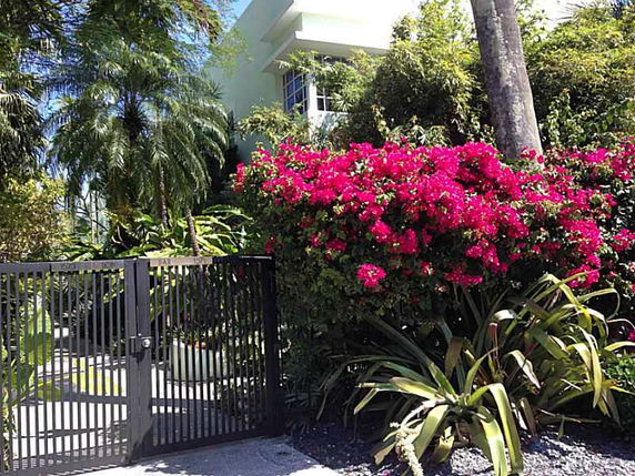 Front view of a house with greenery and flowers in the front yard and a metal gate.