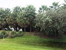 miamire/72aa7ede01617e987f3684a0acfcca82.jpg?width=131&height=105&format3=webp
