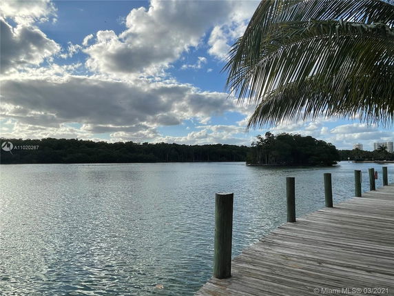 View of a serene water body with a wooden dock and lush greenery in the distance.