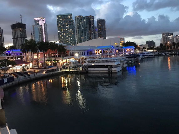 Evening view of a waterfront area with boats docked and city skyline in the background.