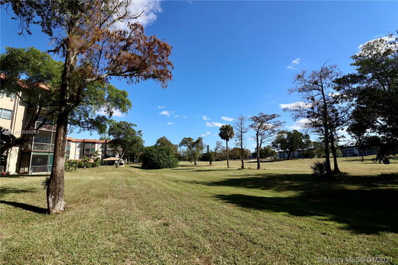 Open grassy area with trees and buildings visible in the background.