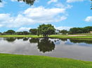 miamire/73fbb2cc13c7146885ab0984acb4f2be.jpg?width=131&height=105&format3=webp