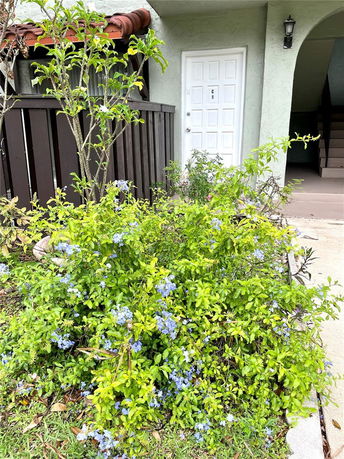 Front view of a house entrance with white door and plants in the foreground.