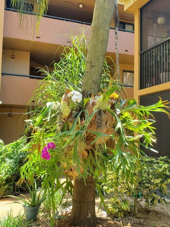 View of plants and greenery around a building structure with balconies.