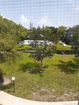 miamire/74ff77eca673009bd1e6859ccc76acc2.jpg?width=131&height=105&format3=webp