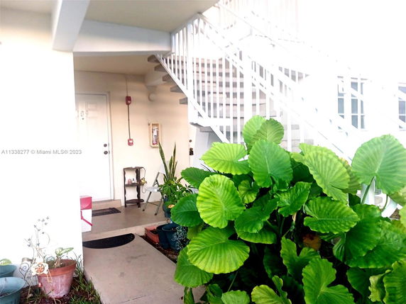 Front view of a building entrance with plants and stairs leading to upper level.