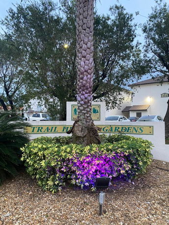View of a garden entrance sign with a palm tree and decorative lighting.
