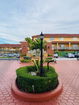miamire/761d3e0982a72dfa00acffd1aed1d7a2.jpg?width=131&height=105&format3=webp