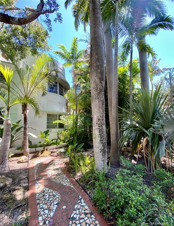 View of a house surrounded by tall palm trees and greenery.