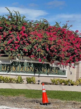 Entrance sign with flowers and greenery above.