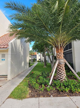 Front view of a building with a sidewalk and palm trees.