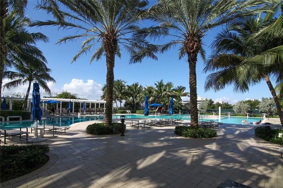 View of a swimming pool area with palm trees and lounge chairs.