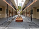 miamire/78f6c1af8585494c884e9a6817b19acd.jpg?width=131&height=105&format3=webp