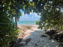 miamire/791741a8f415e2614e40c5287430d71f.jpg?width=131&height=105&format3=webp