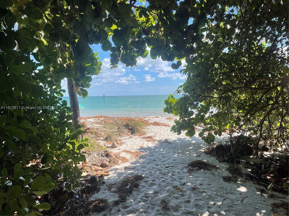 View of a sandy beach path leading to the ocean, surrounded by green leafy trees.