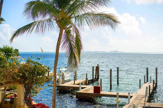 View of a waterfront area with docks and palm trees.