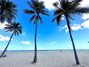 miamire/7976021c596b31903450f6af6f16284a.jpg?width=131&height=105&format3=webp