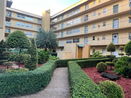 miamire/7a7d0e4e5036de76a72656fdf9f02394.jpg?width=131&height=105&format3=webp