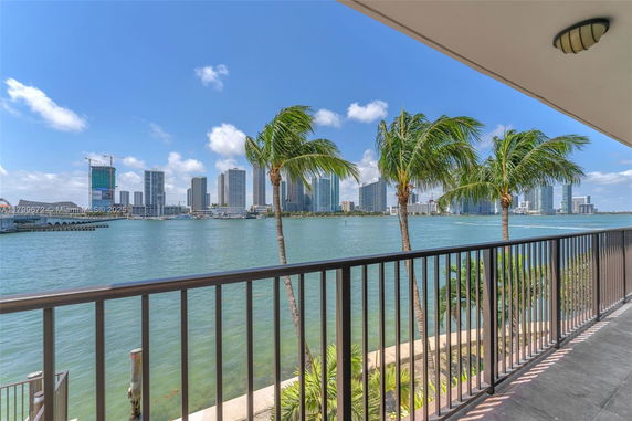 Panoramic view of a city skyline across the water with palm trees in the foreground.