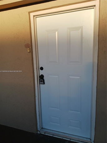 Front view of a white door on a building exterior.