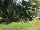 miamire/7ad462fc8cb7215cad2c67cdd8ae50c0.jpg?width=131&height=105&format3=webp