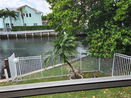 miamire/7b1f455ed5abffa0406598dab3f99e4e.jpg?width=131&height=105&format3=webp