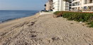 miamire/7bc6c84201faa567892a54c6018372d9.jpg?width=131&height=105&format3=webp