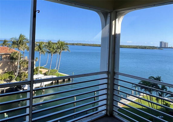 Panoramic view of a waterfront area with palm trees and a distant building.